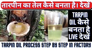 tarpin oil kaise banta haihow to made turpentine oiltarpin tel ka business kaise kare2022thinnar [upl. by Siraved]