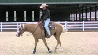 Teaching neck reining [upl. by Bolton]