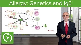 Allergy Genetics and IgE – Immunology  Lecturio [upl. by Bowyer]