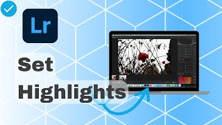 How To Set Highlights In Lightroom [upl. by Ynohtna]