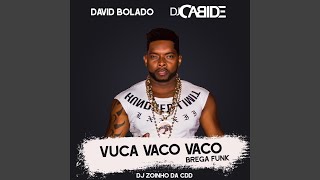 Vuca Vaco Vaco Brega Funk [upl. by Adriena]