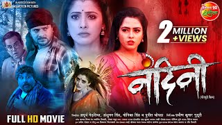 Nandini  नंदिनी   FullMovie  Gaurav Jha SanchitaBanerjee RichaDixit  New Bhojpuri Film [upl. by Griseldis55]