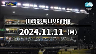 【第9回開催】川崎競馬パドック解説付きLIVE（2024年11月11日） [upl. by Richard]