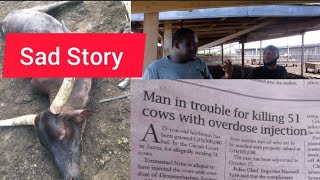 He Shared Heartbreaking Story How He Lost 63 Cattle At His FarmRahmaniya Farms [upl. by Cthrine]