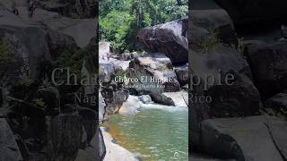 Charco El Hippie  Naguabo PR🇵🇷 charcoelhippie naguabo puertorico camjaavideos [upl. by Itsirhc]