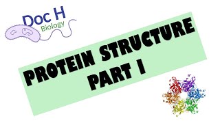 OCR ALevel Biology  Proteins  Part 1 212 Biological Molecules [upl. by Adehsar43]