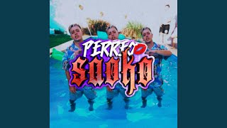 Perreo Saoko feat El Shura [upl. by Abroms]