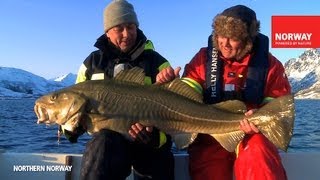 NORWAY WINTER FISHING [upl. by Welles]