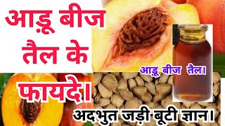 Benefits of peach seeds oil  आड़ू बीज तेल के फायदे  आड़ू बीजों के फायदे। आड़ू बीजों का तेल  Peach [upl. by Odlaniger]