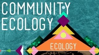 Community Ecology Feel the Love  Crash Course Ecology 4 [upl. by Adnerb]