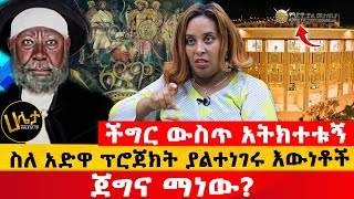 ችግር ውስጥ አትክተቱኝ  ስለ አድዋ ፕሮጀክት ያልተነገሩ እውነቶች  ጀግና ማነው  Haleta Tv [upl. by Lexy]