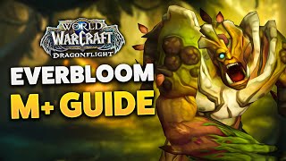 EVERBLOOM M DUNGEON GUIDE Dragonflight Season 3 [upl. by Klement]