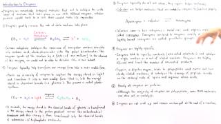 Properties of Enzymes [upl. by Jarnagin]