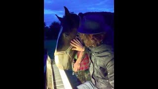 Horse Plays Piano  Sandmann lieber Sandmann [upl. by Ettevroc]