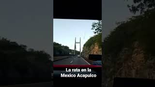 Así opera la rata en la México Acapulco [upl. by Onivag332]