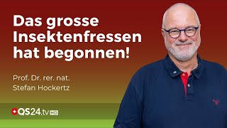 Chitinase – Die Grosse Gefahr beim Insektenfrass  Prof Dr rer nat Stefan Hockertz  QS24 [upl. by Niamrej]