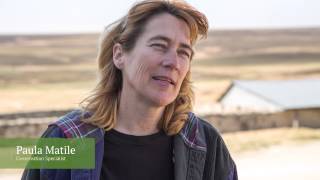 Fire and the Tallgrass Prairie National Preserve [upl. by Melar606]