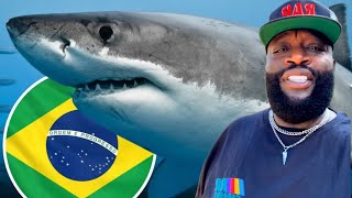 Rick Ross Reaction To Coke Sharks Off The Coast of Brazil [upl. by Airtened]