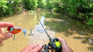 BFS Topwater Fishing Small Creek [upl. by Esom]