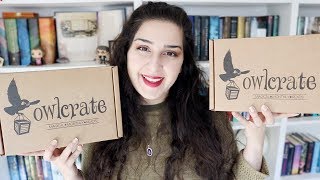 Another Double OwlCrate Unboxing [upl. by Voletta481]