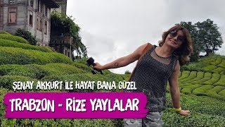 Trabzon  Rize Yaylalar Şenay Akkurt ile Hayat Bana Güzel Gito Pokut Ayder Çeçeva Çamlıhemşin [upl. by Lesnah]