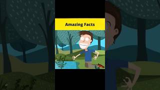 Top 2 amazing facts dangerous facts shorts facts [upl. by Libb]