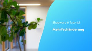 Mehrfachänderung Shopware 6 Tutorial [upl. by Yelah342]