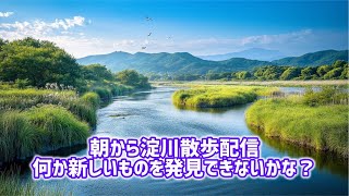 雑談しながら大阪淀川を散歩するライブ配信！何か新しいものを発見できないかな？ [upl. by Akinit]