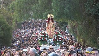 Romería de Santa Eulalia 2024  Subida [upl. by Spanjian]