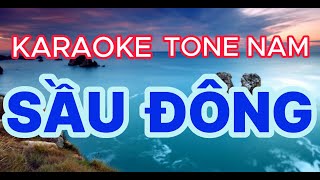 Karaoke Sầu Đông Tone nam TMA [upl. by Sinylg]