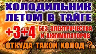 КАК СДЕЛАТЬ ХОЛОДИЛЬНИК СВОИМИ РУКАМИ Самодельный холодильник в лесу без электричества 4 постоянно [upl. by Gregson]