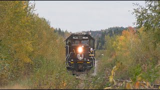 CN 556SB avec IC 9628 DeathStar a StBrunoQc 6 octobre 2024 [upl. by Aniela483]