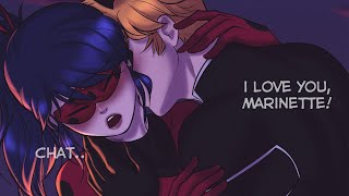 I love you Marinette  Miraculous Ladybug and Cat Noir Comic Dub [upl. by Gerdeen921]