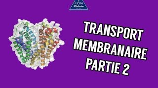 Transports membranaire  Partie 2 [upl. by Goldston206]