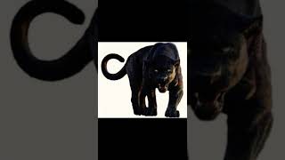 bagheera the jungle book 2016 sound effect 🐆 🔊 [upl. by Rehpotsyrk]