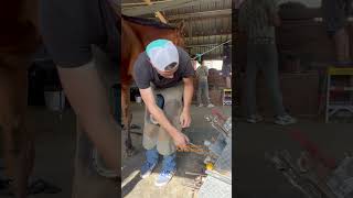 Pulling a horseshoe horse satisfying shorts [upl. by Willy971]