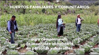 Huertos familiares y comunitarios [upl. by Celinka]