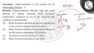 Assertion Chemosynthesis is not carried out by autotrophic bacteria Reason Chemosynthetic bac [upl. by Pauline433]