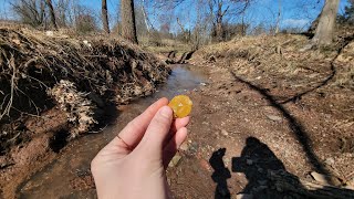 Arrowhead hunting along the Perkiomen Creek [upl. by Annabell]