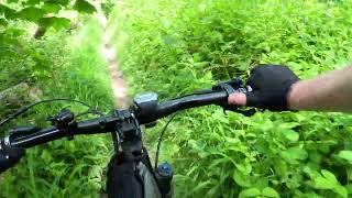 Lions trail Steyning MTB May 24 [upl. by Willabella]