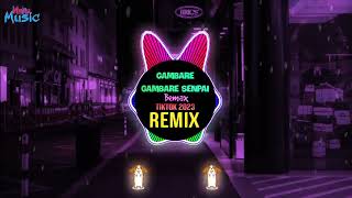 Gambare Gambare Senpai Bemax Remix Tiktok 2023 DJ抖音版 越南鼓卡点舞  Hot Tiktok Douyin [upl. by Name]