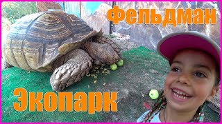 Фельдман ЭкопаркFELDMAN ecopark [upl. by Woodman485]