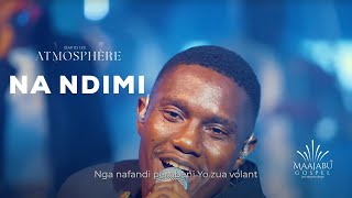 David Ize  Na Ndimi Clip Officiel [upl. by Rahm]