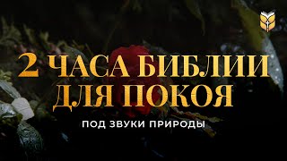 2 часа Библии для покоя под звуки природы Современный перевод Библии biblevision [upl. by Ahseat31]