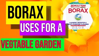 Borax Uses For Vegetable Gardening [upl. by Pylle]