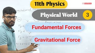 The four Fundamental forces contact field force and gravitational force [upl. by Alysia28]