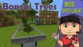 Bonsai Trees v112 Mod Spotlight for Minecraft 112 by Davenonymous [upl. by Ledah849]