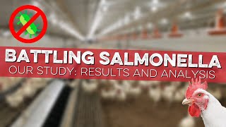 Our Salmonella Study Results and Analysis [upl. by Elorak]