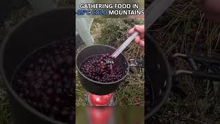 Gathering Food In Alaska  Solo Camping [upl. by Ahsiloc]