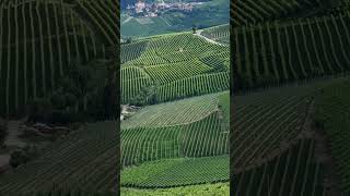 Barolo life winelovers piedmont dolcevita [upl. by Gerge]